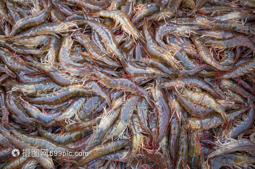 市場里海鮮水產大蝦