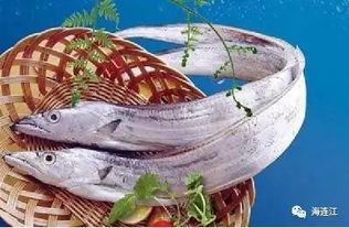 全省休漁執法在連江黃岐啟動 想大快朵頤吃海鮮要等到這時候