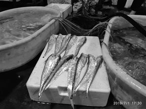 大豐收 首次禁漁的錢塘江開漁啦