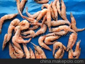 【凍紅筋蝦(圖)】價格,廠家,圖片,冷凍粗加工水產品,青島益和興食品-
