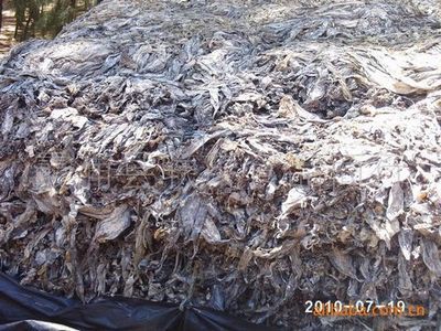 【批發供應霞浦特級品海帶(圖)】價格,廠家,圖片,干制水產品,霞浦縣聯茂食品商行-