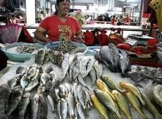 【福建泉州華洲水產批發市場】地址在哪里怎么走_福建泉州華洲水產批發市場拿貨攻略_營業時間幾點開門_53貨源網