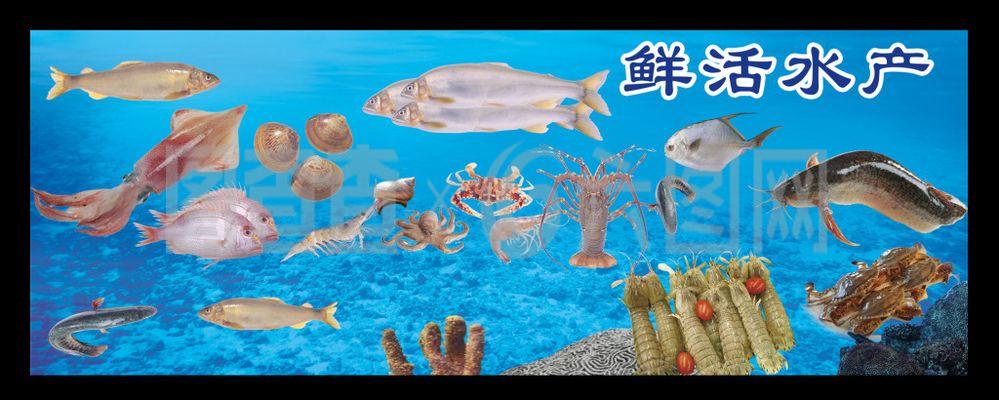 水產海報