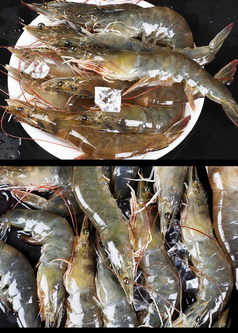 凈重4斤整箱蝦鮮活海鮮水產超大蝦基圍蝦活蝦鮮蝦白蝦海蝦大蝦鮮活速凍蝦