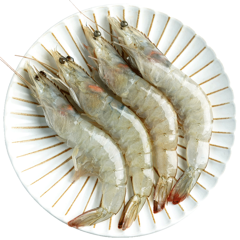 南美白對蝦新鮮大蝦鮮活超大速凍基圍蝦特大青蝦國產海捕蝦類海鮮