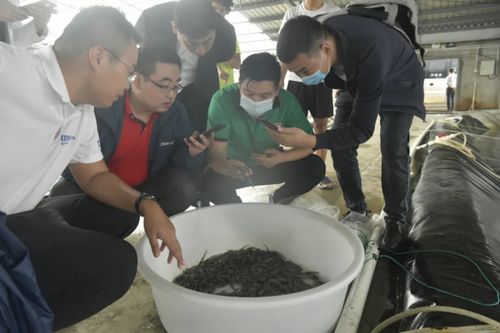 行業黑馬 馳騁而來 歡迎鍋圈食匯蒞臨國聯水產考察調研