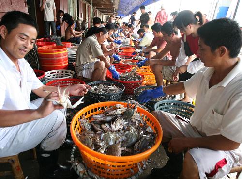 臺風過后舟山梭子蟹豐收