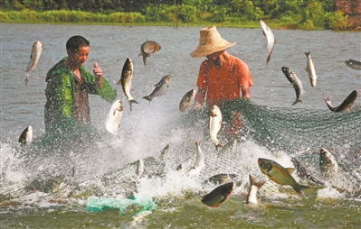 念好 山海經(jīng) 發(fā)力 新賽道