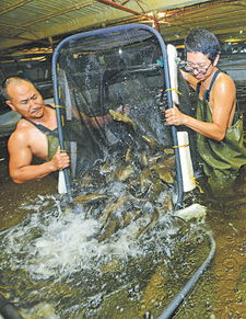 寧波日報社數字報刊平臺