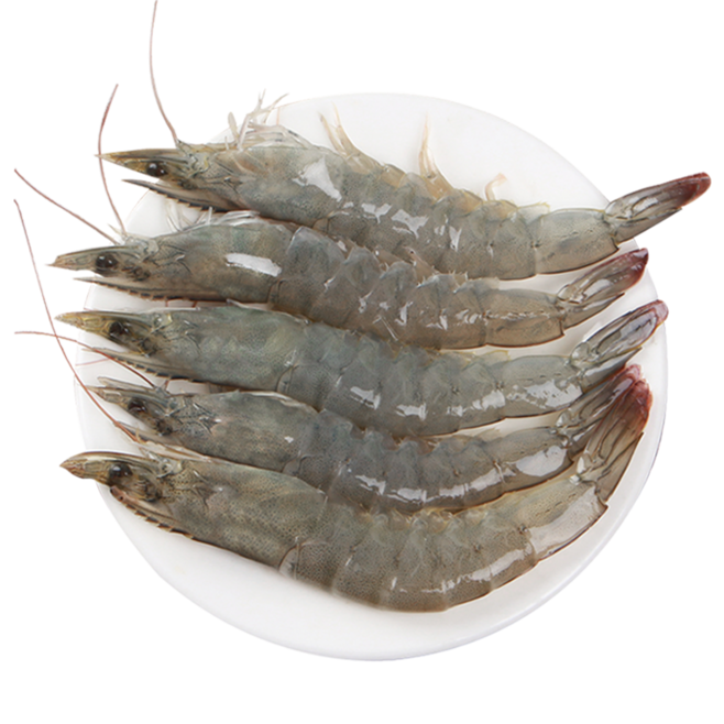 大蝦鮮活超大海鮮水產活蝦基圍蝦速凍凍蝦非.
