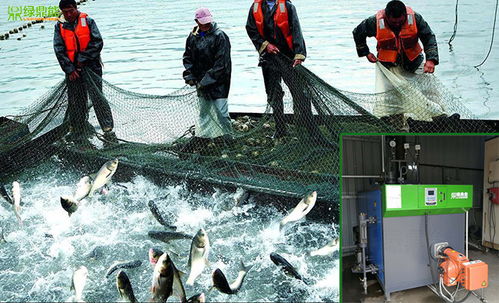 水產(chǎn)養(yǎng)殖蒸汽發(fā)生器綠色環(huán)保助力養(yǎng)殖人養(yǎng)出特色魚類