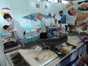 2019第五屆上海國際水產海鮮展覽會水產品盛會等你來