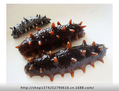 【大連海參自養自銷,高品質大連刺參,全淡干海參 批發】價格,廠家,圖片,干制水產品,莆田市涵江區福盛食雜經銷部-