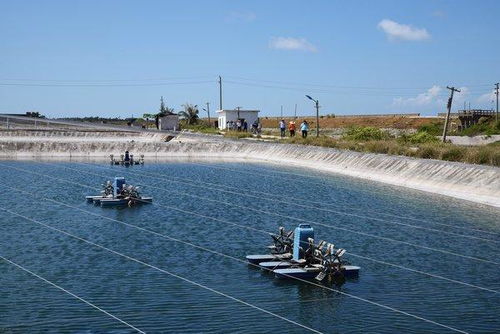 溯源南海之濱 麥德龍實地考察湛江水產基地