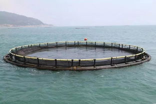 中擂品牌營銷策劃案例三海魚水產養殖品牌策劃