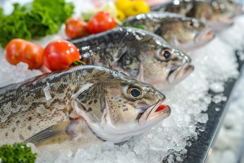 生鮮海鮮水產鱈魚 攝影圖