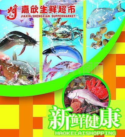 海鮮水產(chǎn)圖片