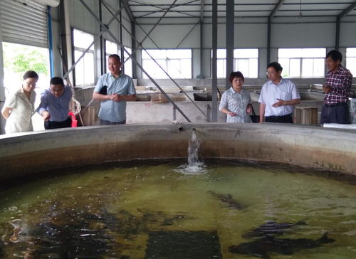 湖北省科學技術協會