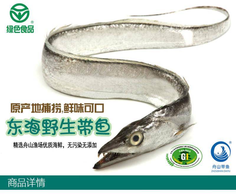 【奧瑞】舟山海鮮水產鮮活新鮮東海捕撈野生大帶魚小眼睛冰鮮刀魚1斤2條