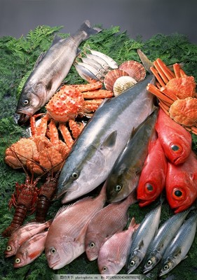 新鮮魚蝦貝蟹類水生物