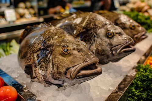 生鮮海鮮水產銀鱈魚食材 攝影圖