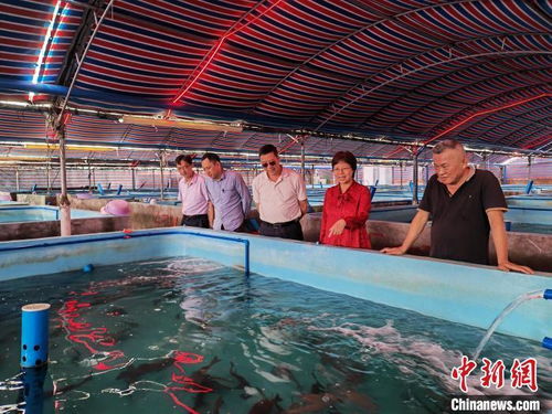 臺商積極利用自貿港政策布局海南