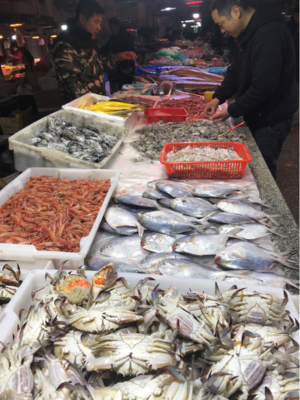 過年海鮮怎么買?跟著寧波老炮兒逛菜場,那叫一個講究