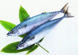 消費課堂 又到螃蟹季,螃蟹等水產如何挑選