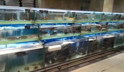 生鮮水產、蔬果類商品保鮮實戰指導(保鮮陳列、保鮮技巧、處理手法)