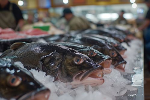 生鮮海鮮水產鮮凍銀鱈魚 攝影圖