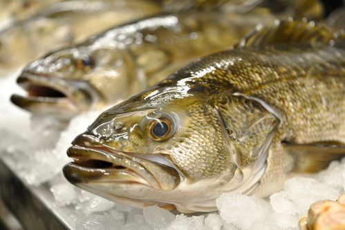 生鮮海鮮水產鱈魚素材 攝影圖