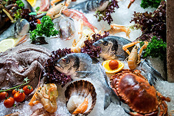 海鮮水產(chǎn)