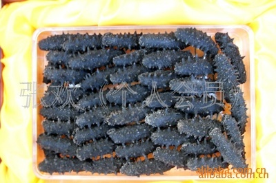 【供應 關東拉缸鹽 900元(圖)】價格,廠家,圖片,其他水產(chǎn)品,張歡-