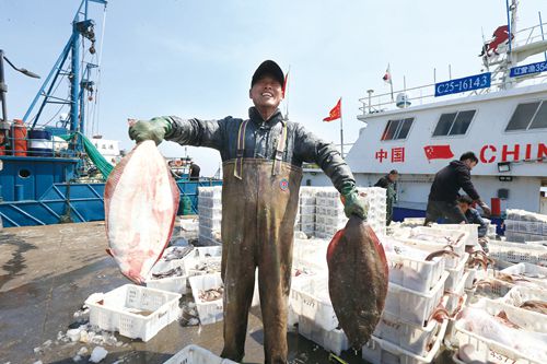 榮成漁業捕撈有序展開，水產供應穩步恢復