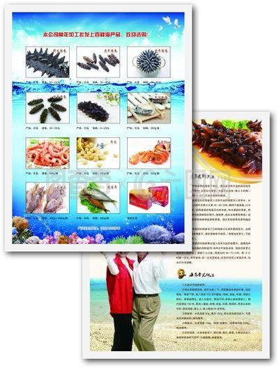 海參 滋補珍品，水產瑰寶