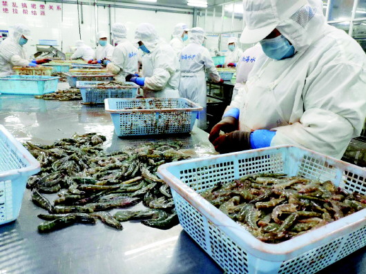 “硬核”政策助企復工復產，激活水產行業新活力