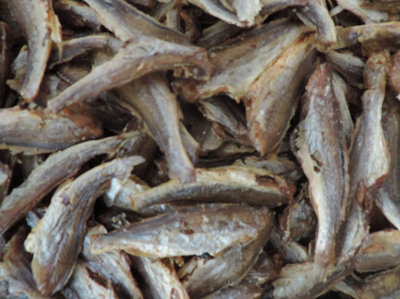 傳統香酥小黃魚 芝罘區帆歌水產商行的美味水產品零食