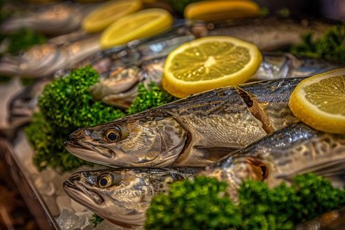 銀鱈魚 海洋的瑰寶與餐桌上的珍饈