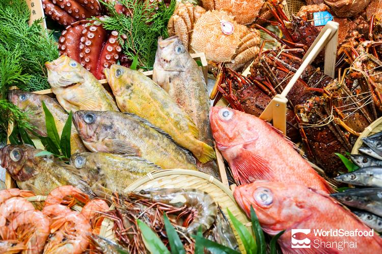 精彩紛呈，再創輝煌 第14屆上海國際漁業博覽會第二日盛況