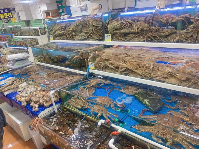 鷺梁津水產市場 韓國最大海鮮批發中心的魅力與挑戰